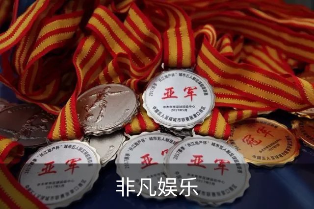 非凡娱乐公司简介展示图